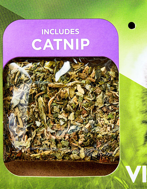 Load image into Gallery viewer, Oval Woven Felt Rope Cat Bed, with Catnip, Multicolored, 19"
